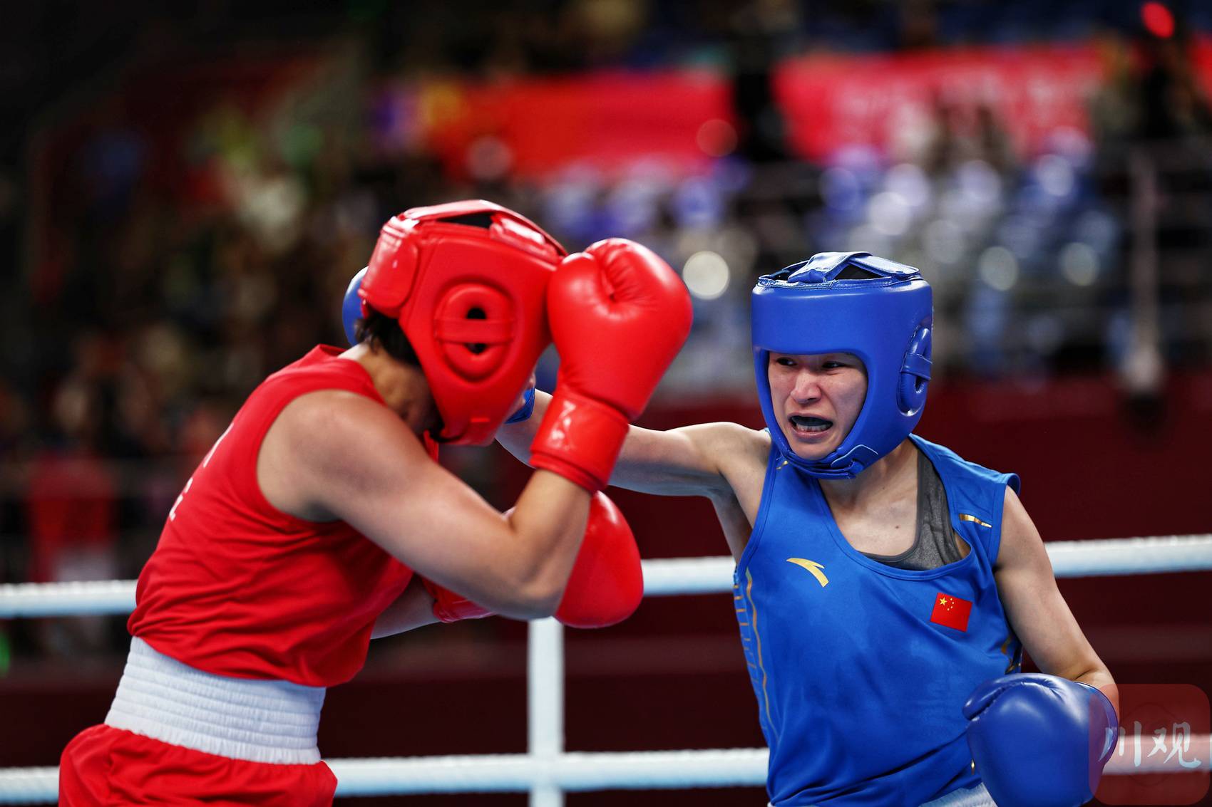 热血搏击，拳击选手一击制胜夺冠